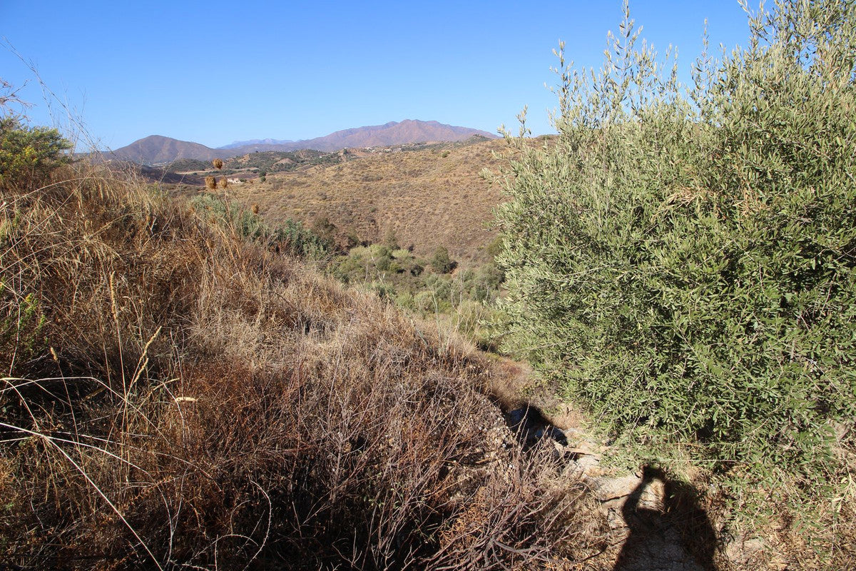 Finca de Recreo en Mijas Golf | Oportunidad Cerca de La Cala de Mijas